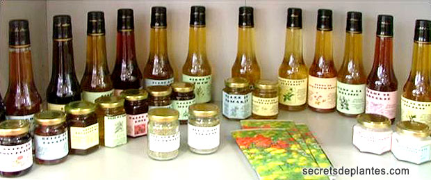 bouteilles de sirops de plantes de Francoise PIEGAY
