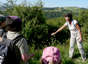 sortie decouverte des plantes sauvages en Bourbonnais, par Fran�\{ADRESSE_MAILoise PIEGAY